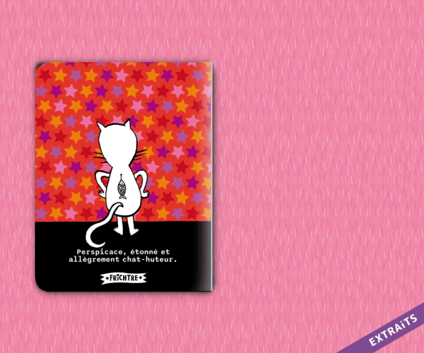CHAT ALORS ! <br><span style="font-size:0.7em">Chat-pitre 1</span> – Image 12
