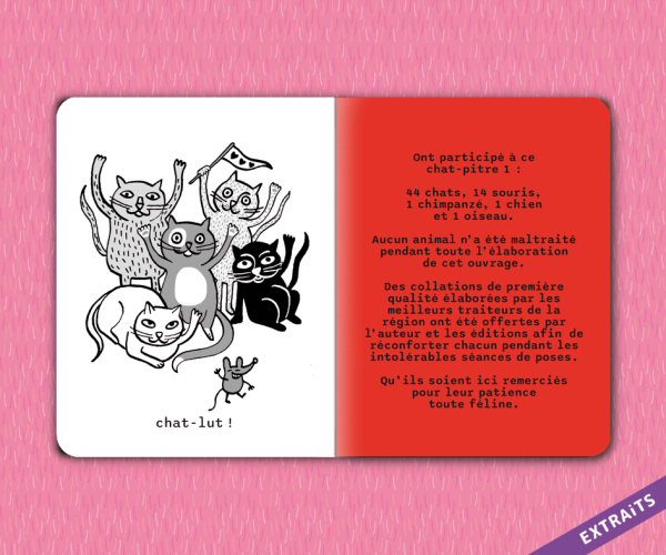 CHAT ALORS ! <br><span style="font-size:0.7em">Chat-pitre 1</span> – Image 10